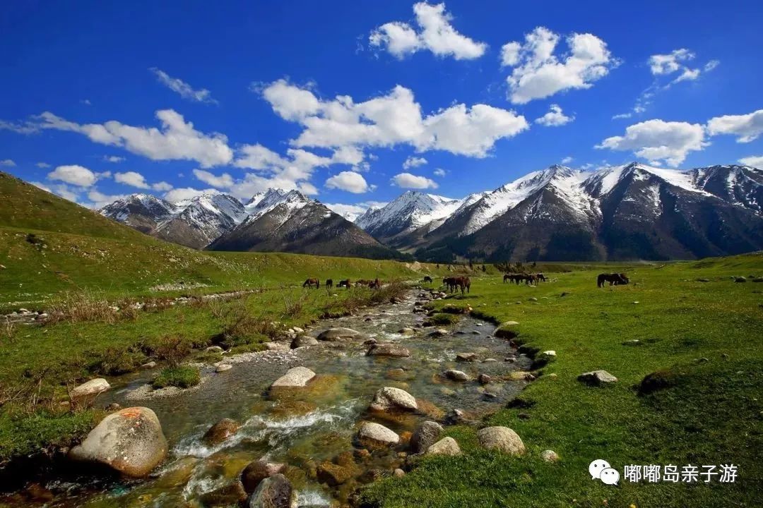 新疆技能学习指南,从入门到进阶的实用指南