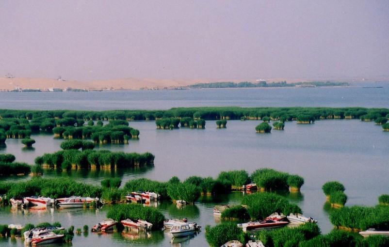 宁夏阳光下的温馨故事